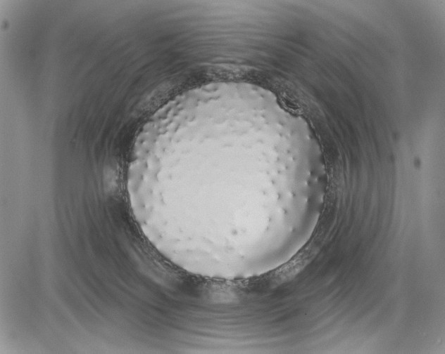 X0000081600134200702051339