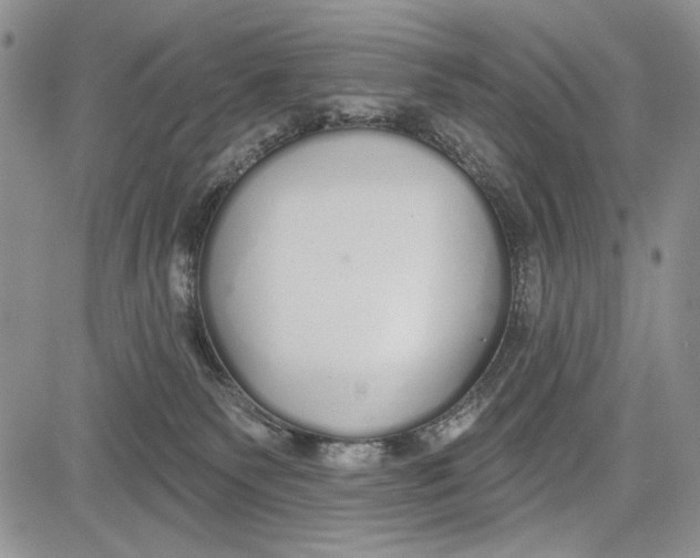 X0000081600135200702051339