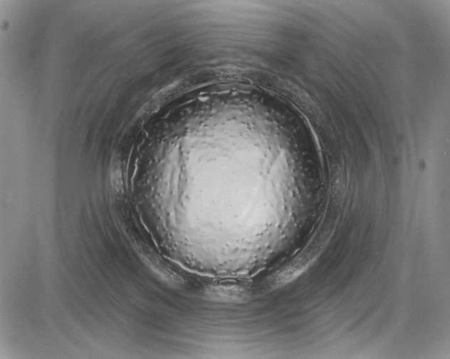 X0000081600137200702051339