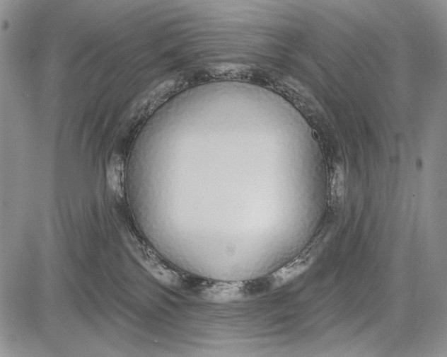 X0000081600138200702051339