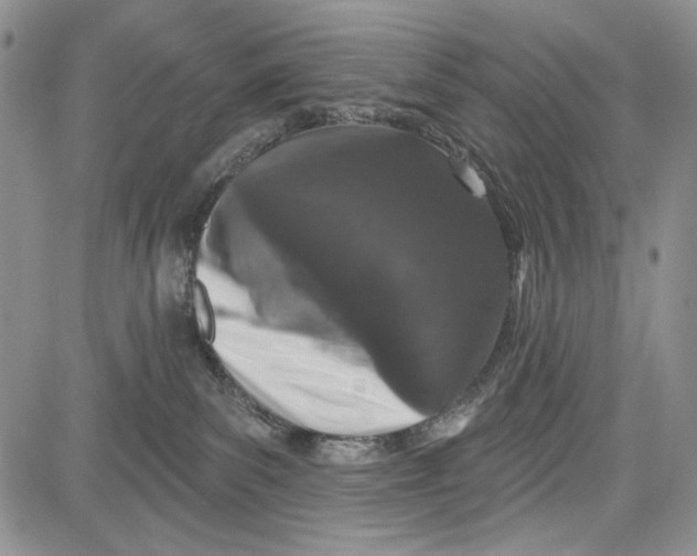 X0000081600139200702051339