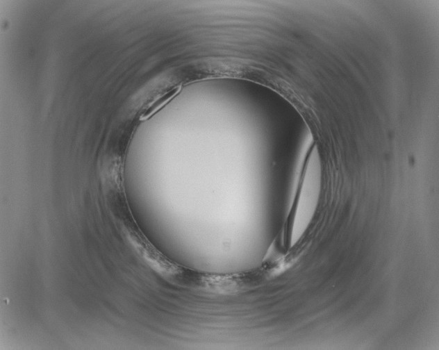 X0000081600141200702051338