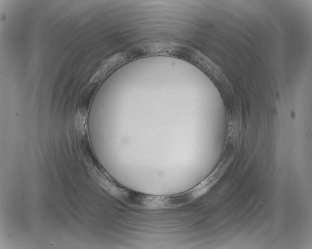 X0000081600142200702051338