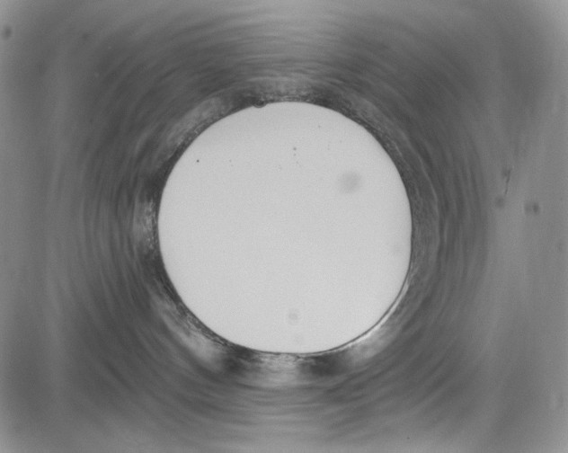 X0000081600144200702051338