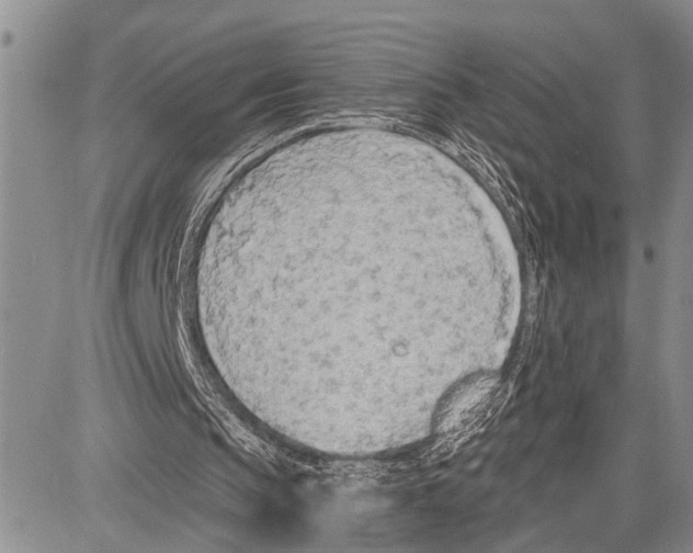 X0000081600145200702051338