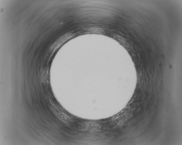 X0000081600146200702051338