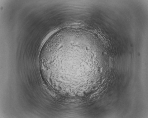 X0000081600147200702051338