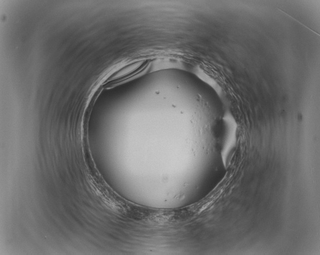 X0000081600148200702051338