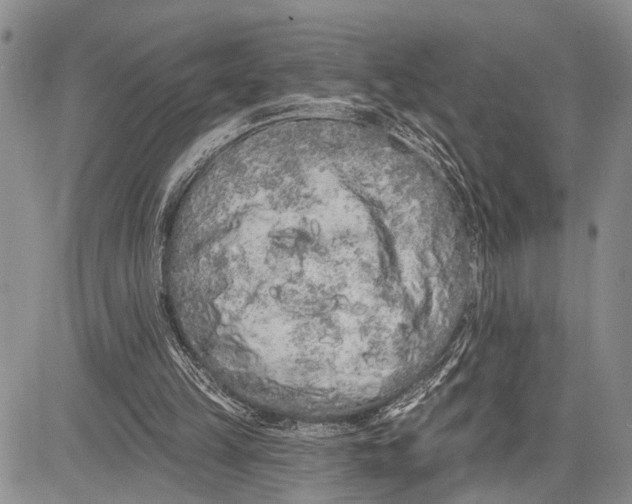 X0000081600149200702051338