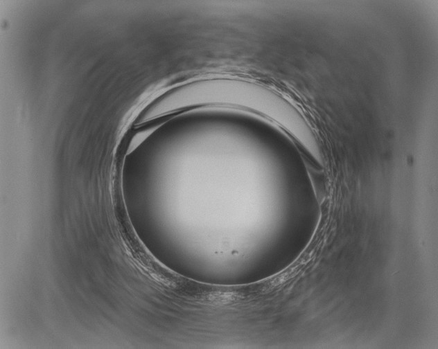 X0000081600152200702051338