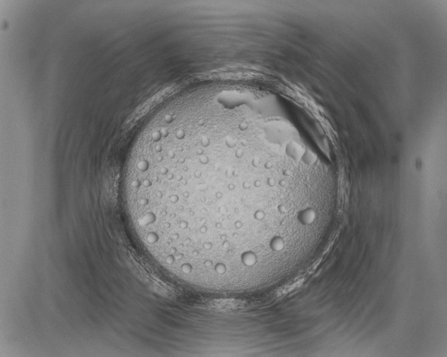 X0000081600153200702051338