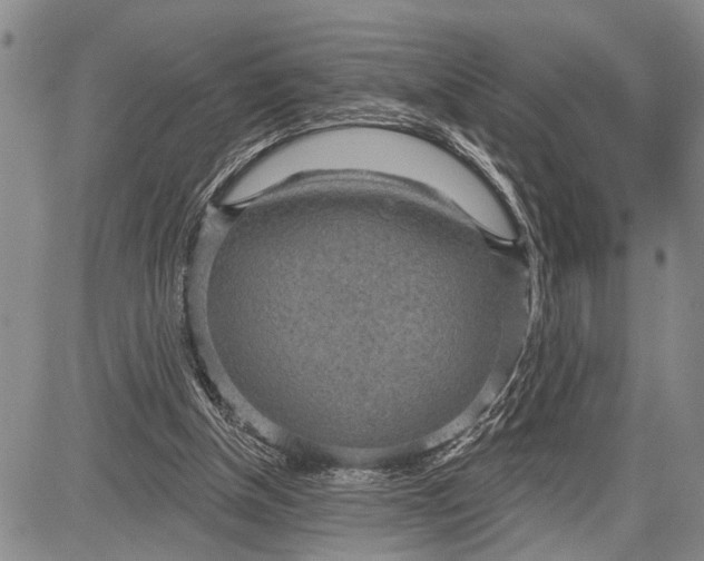 X0000081600154200702051338