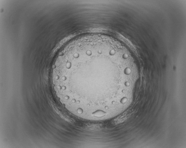 X0000081600155200702051338