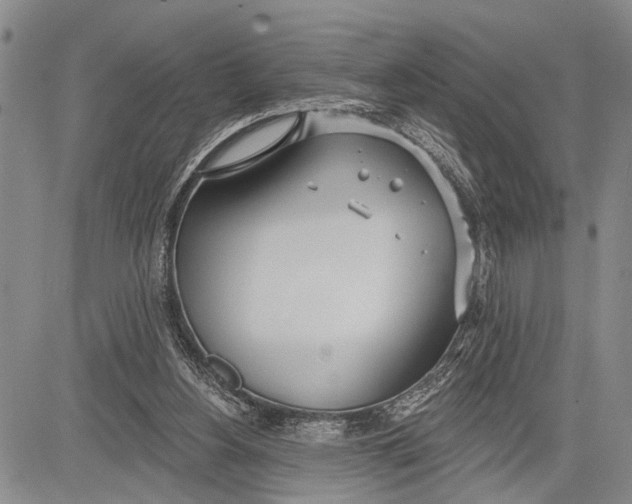 X0000081600156200702051338