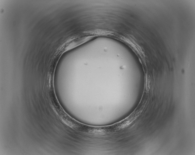 X0000081600157200702051338