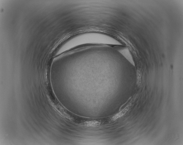 X0000081600158200702051338