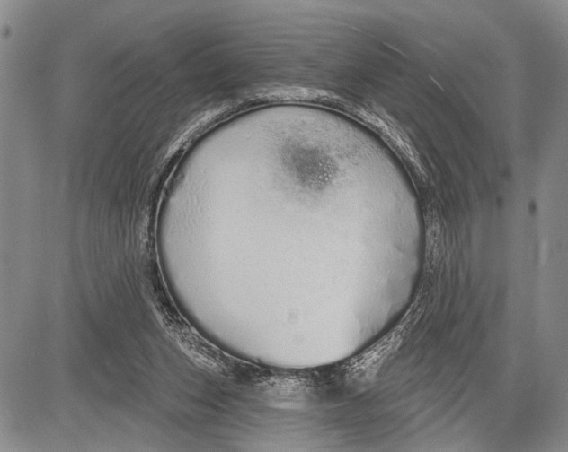 X0000081600159200702051338