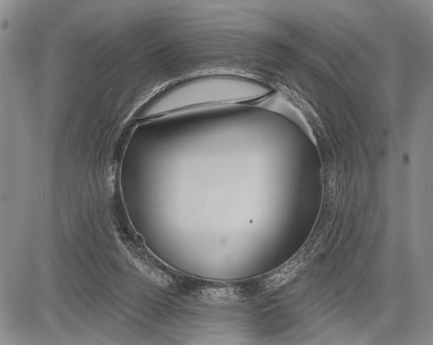 X0000081600160200702051338