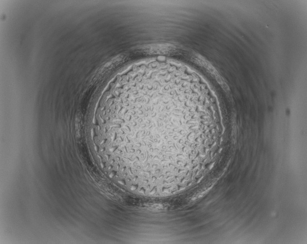 X0000081600161200702051338