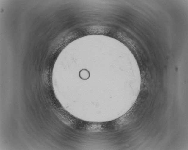 X0000081600162200702051338