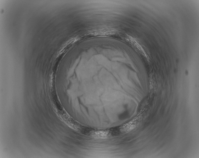 X0000081600163200702051338