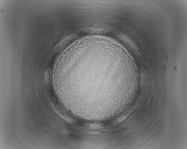 X0000081600165200702051338