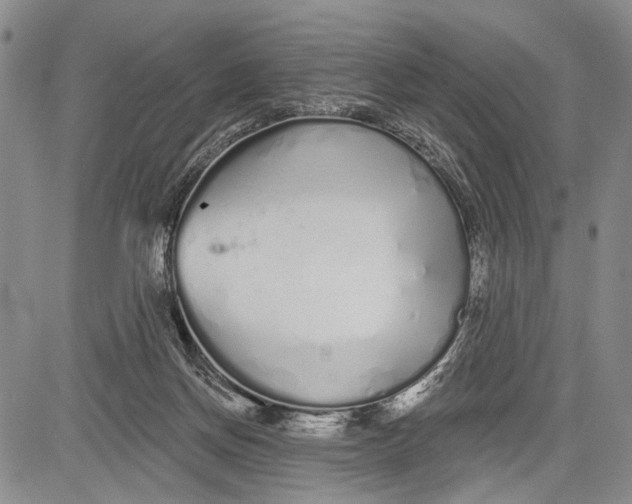 X0000081600166200702051338