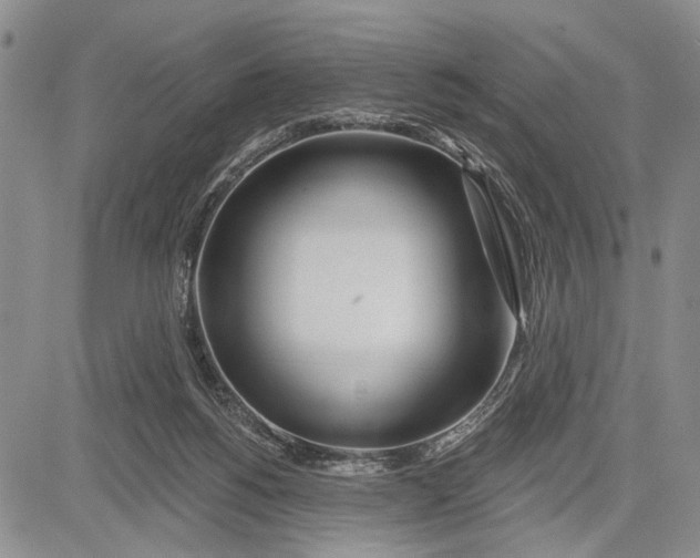 X0000081600168200702051338