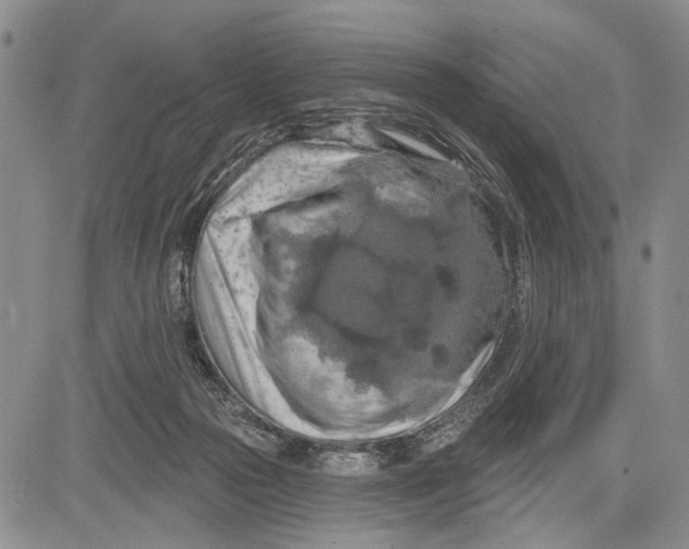 X0000081600169200702051338