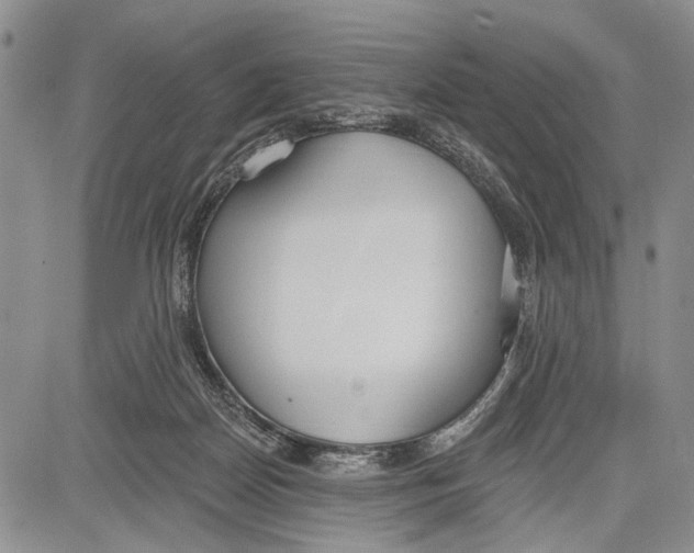 X0000081600170200702051338