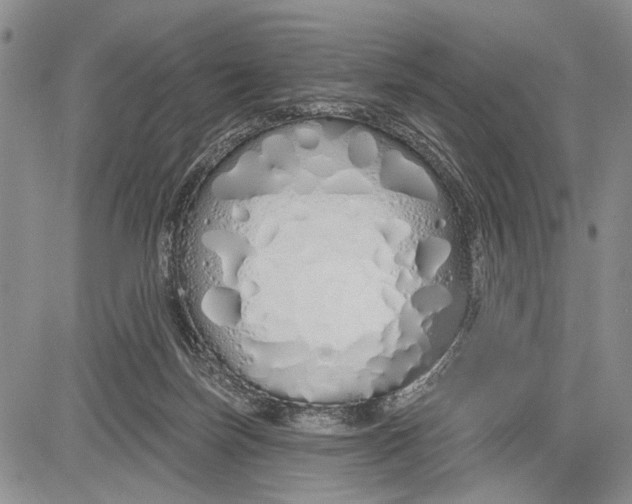 X0000081600171200702051338