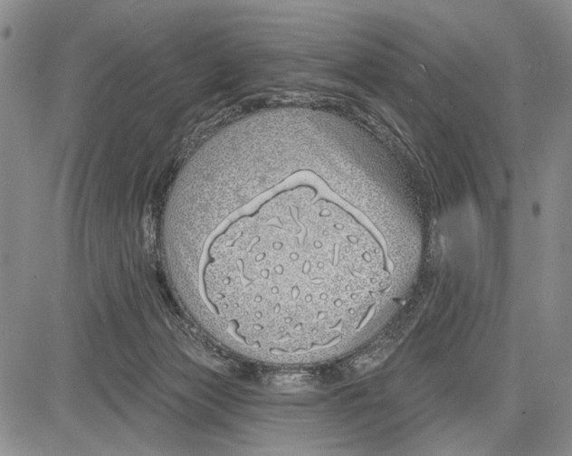 X0000081600173200702051338