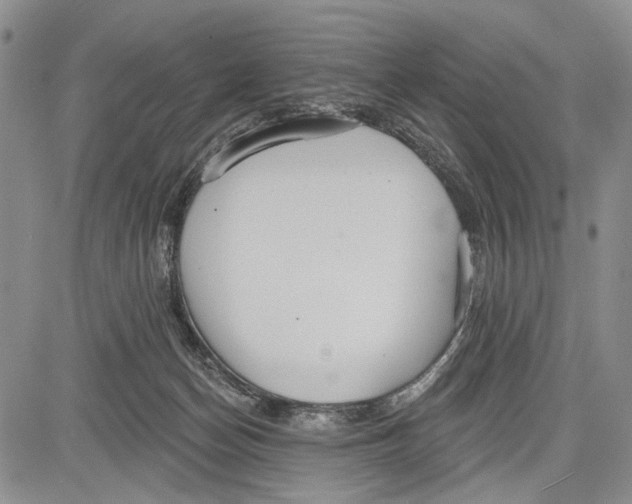 X0000081600174200702051338