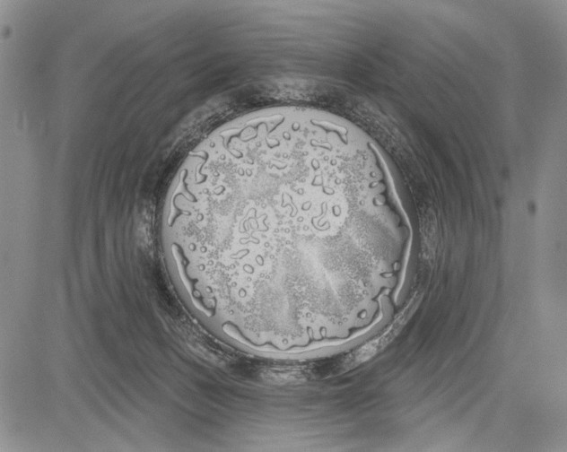 X0000081600175200702051338