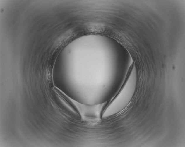 X0000081600176200702051338