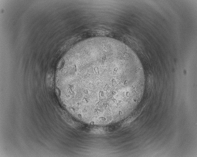 X0000081600177200702051338