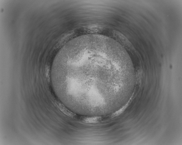 X0000081600178200702051338