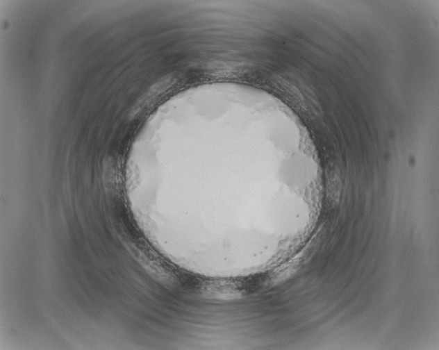 X0000081600179200702051338