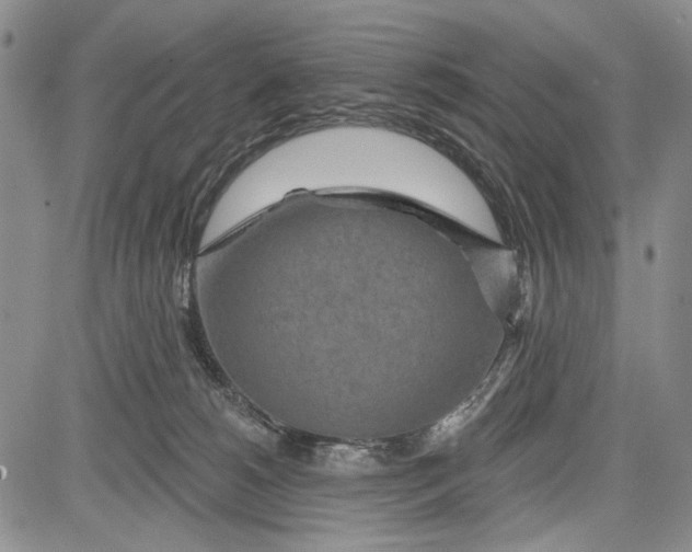 X0000081600180200702051338