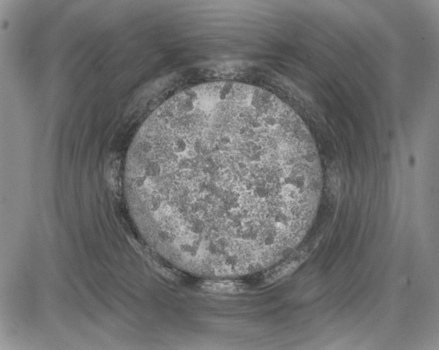 X0000081600181200702051338