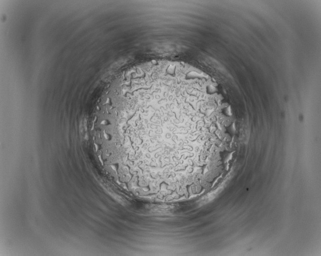 X0000081600182200702051338