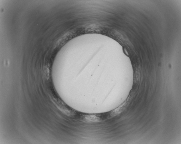 X0000081600183200702051338