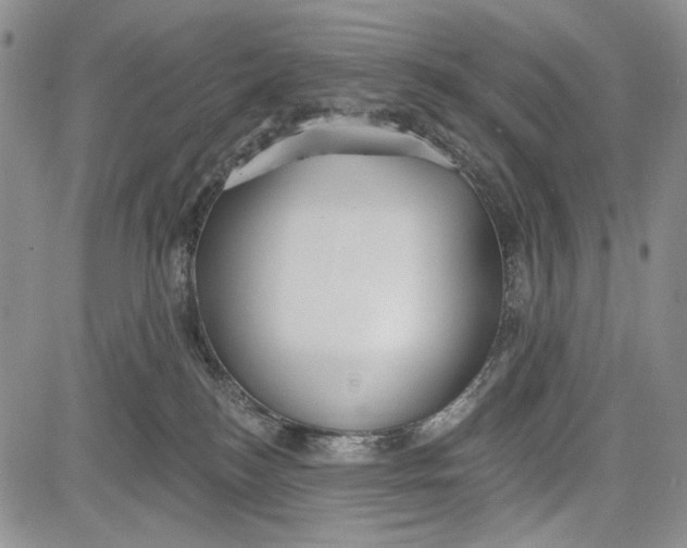 X0000081600184200702051338