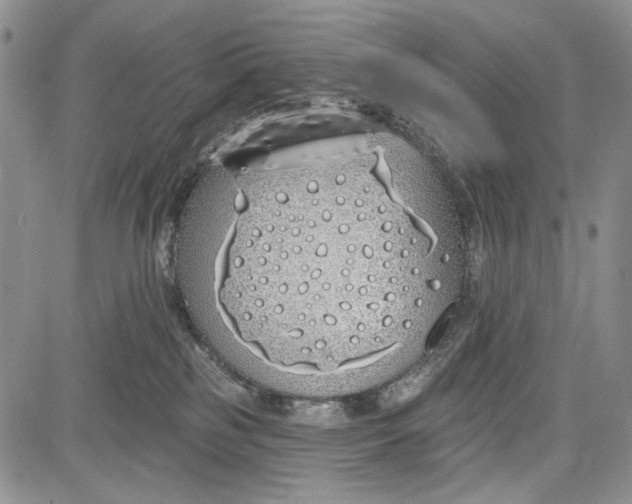 X0000081600185200702051338