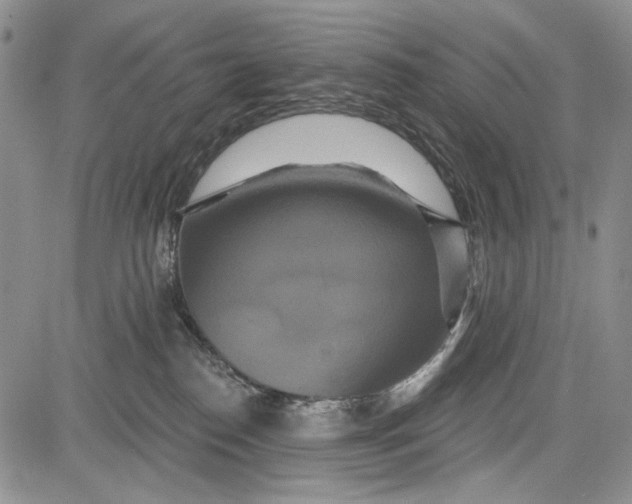 X0000081600186200702051338