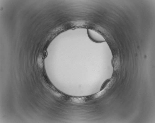 X0000081600187200702051338