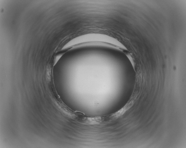 X0000081600188200702051338