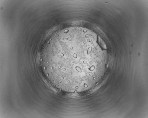 X0000081600189200702051338