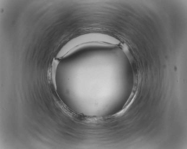 X0000081600190200702051338