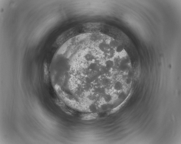 X0000081600191200702051338